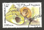 Stamps Africa - Somalia -  caracol