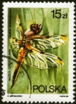 Stamps Poland -  Libelula