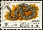 Stamps : Europe : Russia :  Serpientes