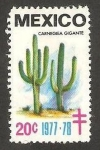 Stamps Mexico -  flora, carnegiea gigante