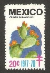 Stamps Mexico -  flora, opuntia durangensis