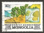 Sellos de Asia - Mongolia -  flora, populus diversifolia