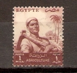 Stamps Egypt -  CAMPESINO