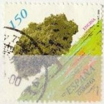 Stamps Spain -  ESPAÑA 2000 3718 Sello Flora Arboles Encina usado