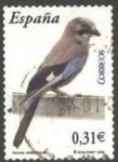 Stamps Spain -  ESPAÑA 2008 4382 Sello Fauna Aves Arrendajo usado