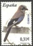 Sellos de Europa - Espa�a -  ESPAÑA 2008 4382 Sello Fauna Aves Arrendajo usado