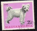 Stamps : Europe : Hungary :  perro