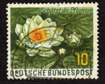 Stamps : Europe : Germany :  Flores acuaticas