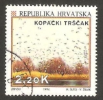 Stamps Croatia -  pantano de kopacki