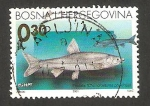 Sellos de Europa - Bosnia Herzegovina -  peces
