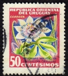 Stamps Uruguay -  Pasionaria Mburucuya