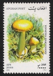 Stamps Afghanistan -  SETAS-HONGOS: 1.100.051,00-Amanitopsis vaginata