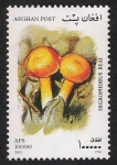 Stamps Afghanistan -  SETAS-HONGOS: 1.100.056,00-Higrophorus reai