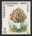 Stamps Andorra -  SETAS-HONGOS: 1.103.002,00-Morchella esculenta