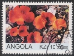 Sellos de Africa - Angola -  SETAS-HONGOS: 1.104.011,00-Aleunia aurantia