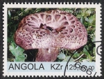 Stamps Africa - Angola -  SETAS-HONGOS: 1.104.013,00-Sarpocom inbricatum