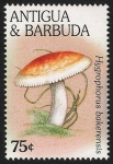 Sellos de America - Antigua y Barbuda -  SETAS-HONGOS: 1.105.052,00-Hygrophorus  bakerensis