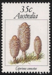 Stamps Oceania - Australia -  SETAS-HONGOS: 1.108.002,00-Coprinus comatus - 