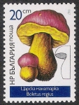 Stamps Bulgaria -  SETAS-HONGOS: 1.120.022,00-Boletus regius