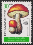 Stamps Bulgaria -  SETAS-HONGOS: 1.120.023,00-Leccinum aurantiacum