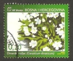Stamps Bosnia Herzegovina -  flora, cerastium dinaricum