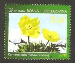 Stamps Bosnia Herzegovina -  flora, papaver kerneri