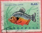 Stamps : America : Venezuela :  Serrasalmus notatus. Caribe