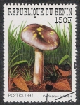 Stamps Africa - Benin -  SETAS-HONGOS: 1.114.022,00-Cortinarius collinitus - 