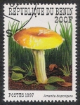 Stamps Benin -  SETAS-HONGOS: 1.114.023,00-Amanita disporigera - 