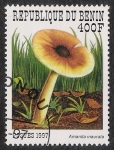 Stamps Benin -  SETAS-HONGOS: 1.114.026,00-Amanita inaurata - 
