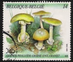 Sellos del Mundo : Europa : B�lgica : SETAS-HONGOS: 1.112.011,00-Amanita phaloides - 