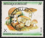 Stamps Belgium -  SETAS-HONGOS: 1.112.012,00-Amanita rubescens - 