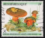 Sellos del Mundo : Europa : B�lgica : SETAS-HONGOS: 1.112.013,00-Boletus miniatoporus - 