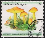 Stamps Belgium -  SETAS-HONGOS: 1.112.014,00-Hygrocybe persistens - 