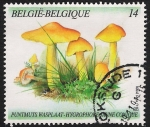 Sellos del Mundo : Europa : B�lgica : SETAS-HONGOS: 1.112.014,00-Hygrocybe persistens - 