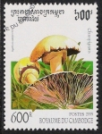 Stamps Cambodia -  SETAS-HONGOS: 1.124.014,00-Agaricus campestris