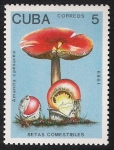 Stamps Cuba -  SETAS-HONGOS: 1.134.013,00-Amanita caesarea
