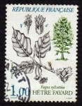 Stamps France -  Hetre Fayard  Fagus Sylvatica