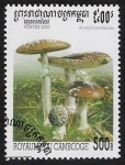 Sellos de Asia - Camboya -  SETAS-HONGOS: 1.124.042,00-Amanita pantherina