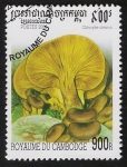 Stamps Cambodia -  SETAS-HONGOS: 1.124.043,00-Clitocybe oleana