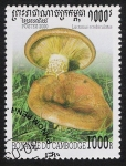 Stamps Cambodia -  SETAS-HONGOS: 1.124.044,00-Lactarius scrobiculatus