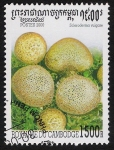 Stamps Cambodia -  SETAS-HONGOS: 1.124.045,00-Scleroderma vulgare