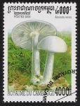 Stamps Cambodia -  SETAS-HONGOS: 1.124.046,00-Amanita verna