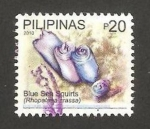 Stamps Philippines -  fauna, ascidia azul