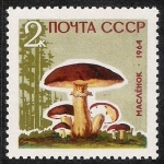 Stamps Russia -  SETAS:231.201  Suillus luteus