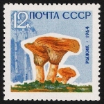Stamps Russia -  SETAS:231.205  Lactarius deliciosus