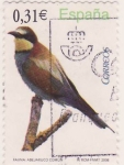 Stamps Spain -  Fauna: abejarruco comun