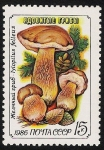 Stamps Russia -  SETAS:231.223  Tylopilus felleus