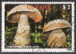 Stamps Guyana -  SETAS-HONGOS: 1.162.011,02-Cortinarius bolaris -Phil.47629-Dm.989.45-Y&T.2077-Mch.2480-Sc.2010a