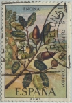 Stamps Spain -  Flora-Enciana-1972